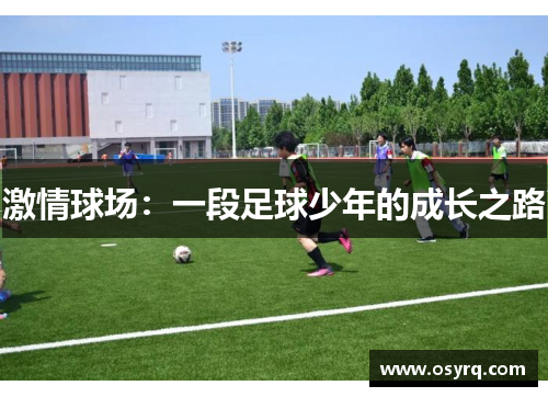 激情球场：一段足球少年的成长之路