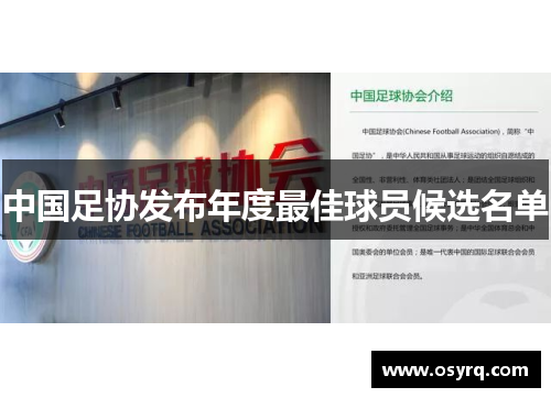 中国足协发布年度最佳球员候选名单
